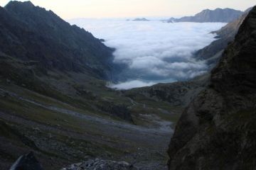 di Contratto Domenico