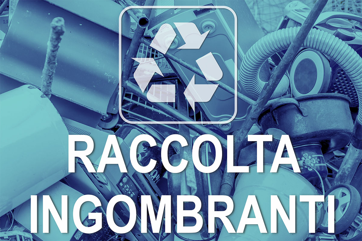 Immagine decorativa